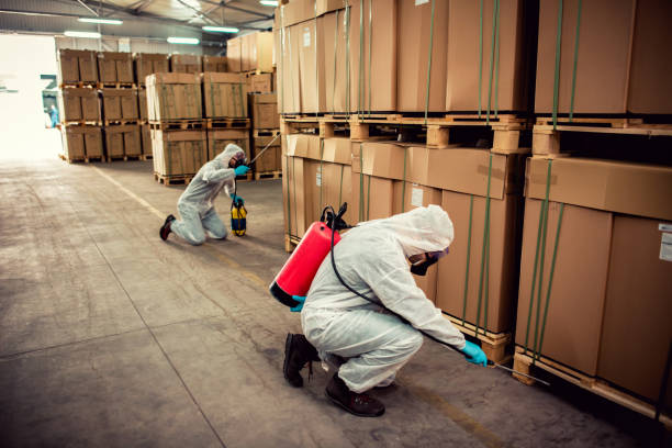 Best Ant Control Services  in Monticello, MS