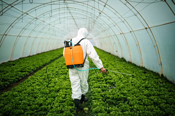 Best Commercial Pest Control Services  in Monticello, MS