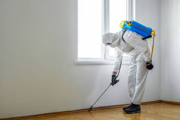 Best Pest Inspection Near Me  in Monticello, MS