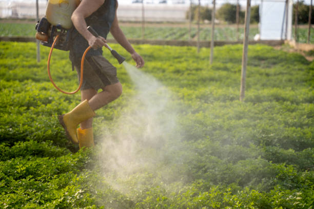 Best Local Pest Control Services  in Monticello, MS