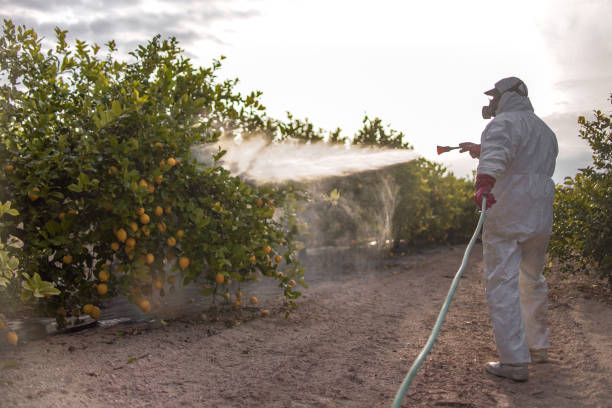 Professional Pest Control in Monticello, MS