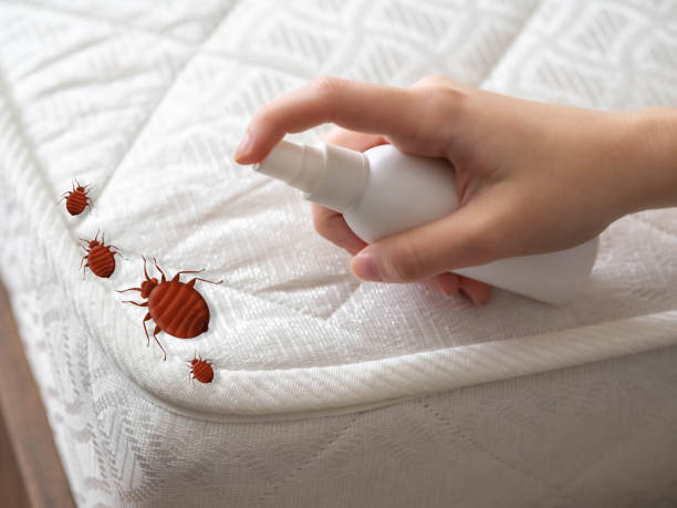 Best Exterminator Services  in Monticello, MS